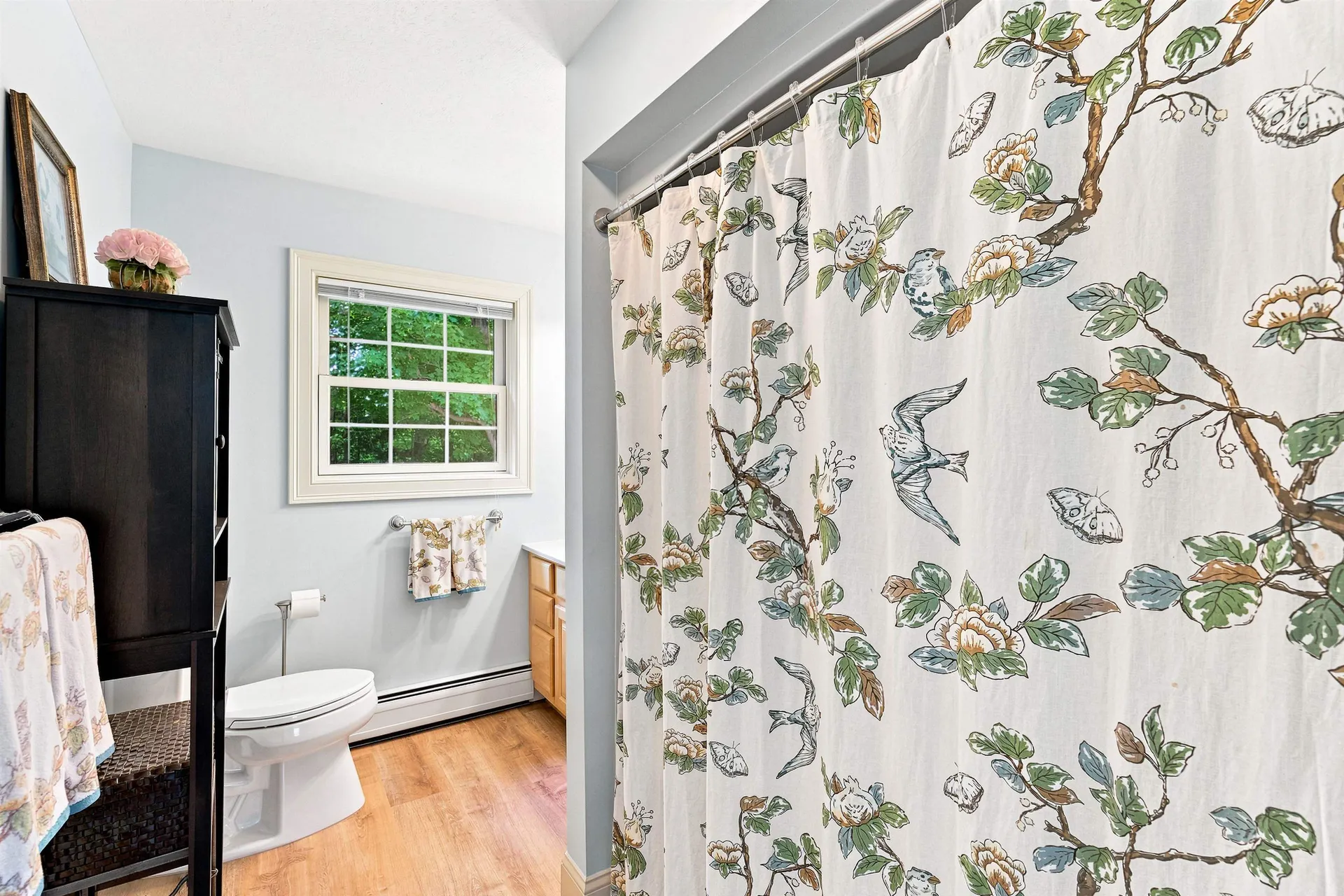 40 Lakewood Drive Alton NH 03810