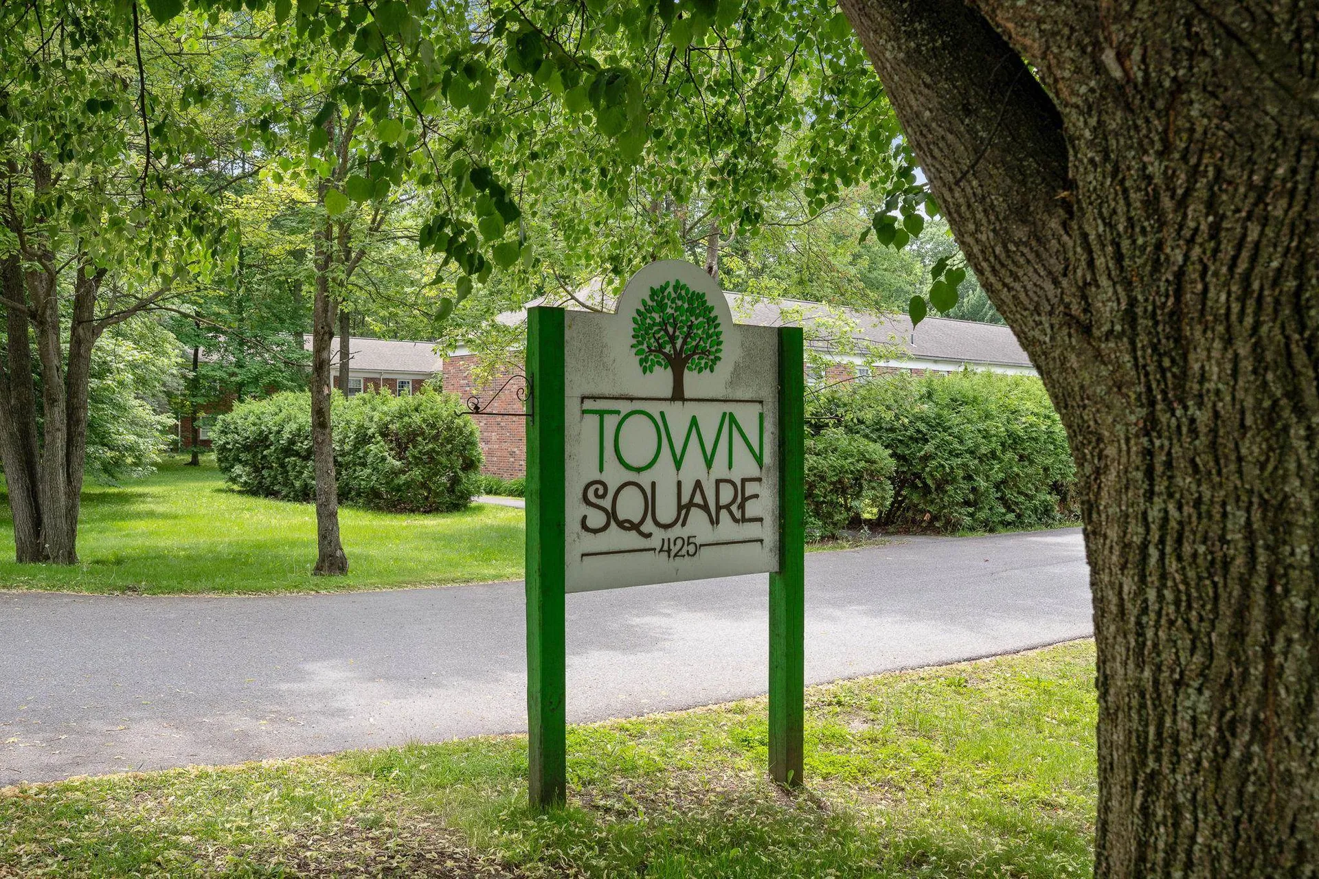 425 Dorset Street South Burlington VT 05403