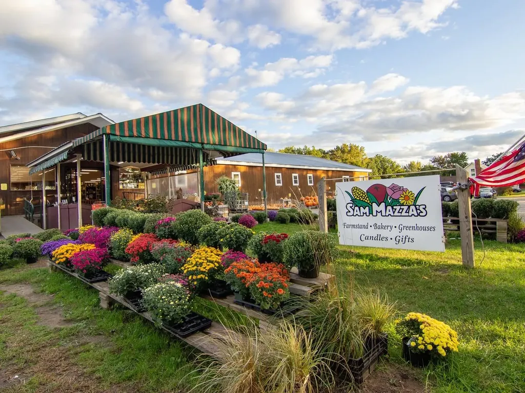 273 Shannon Road Colchester VT 05446