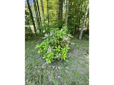 273 Shannon Road Colchester VT 05446