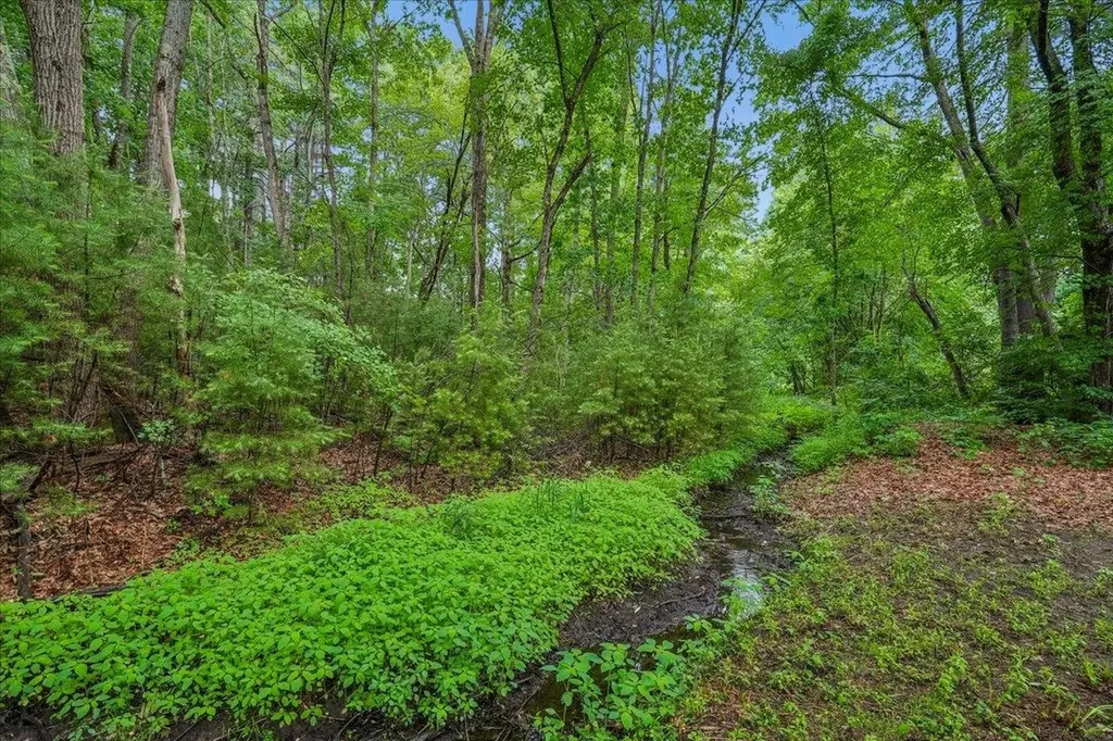 6 Horseshoe Lane Londonderry NH 03053
