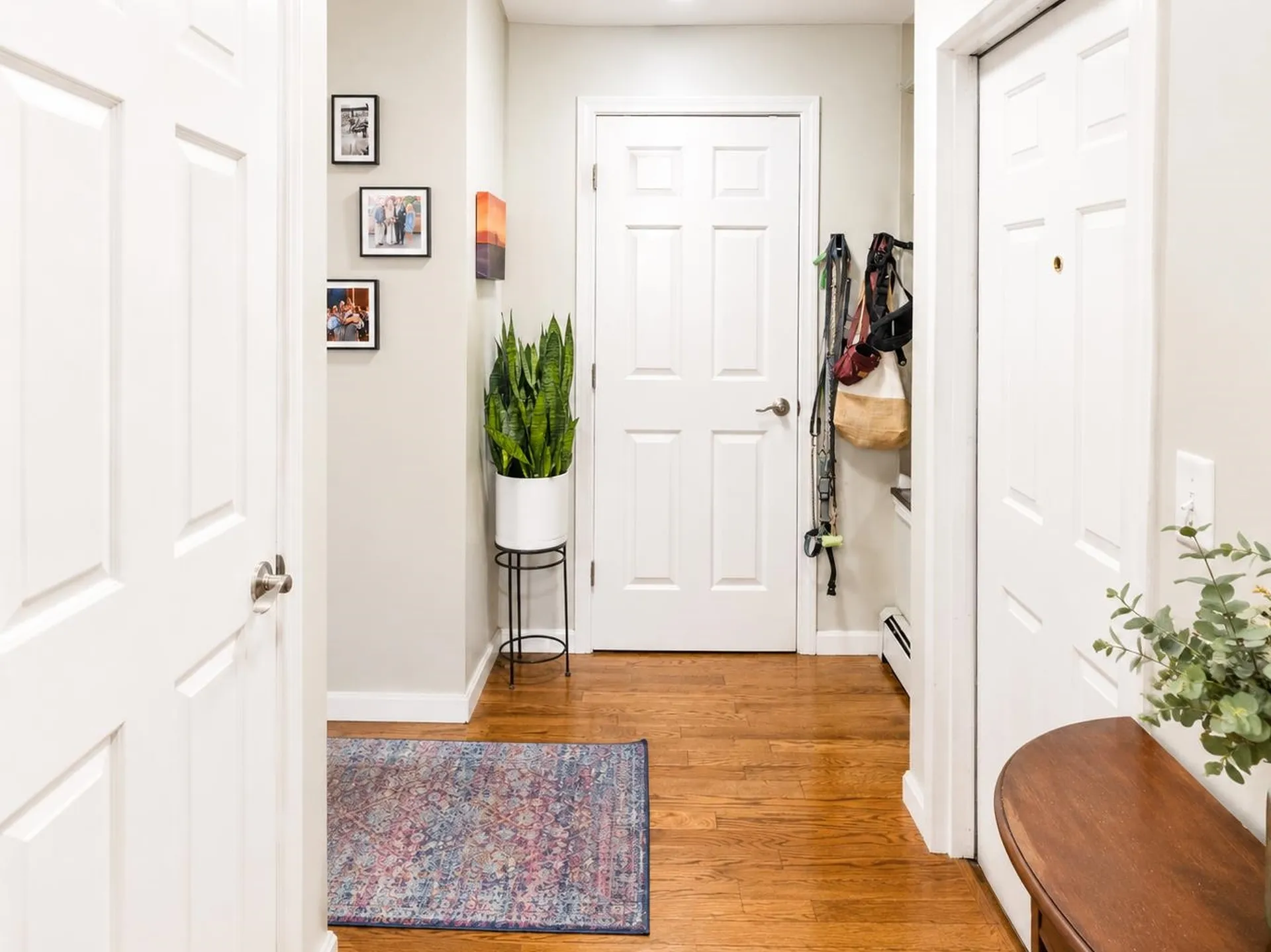 602 North Avenue Burlington VT 05408