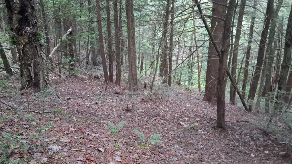 Lot 15 +37 Acre Spruce Lane Eden VT 05652