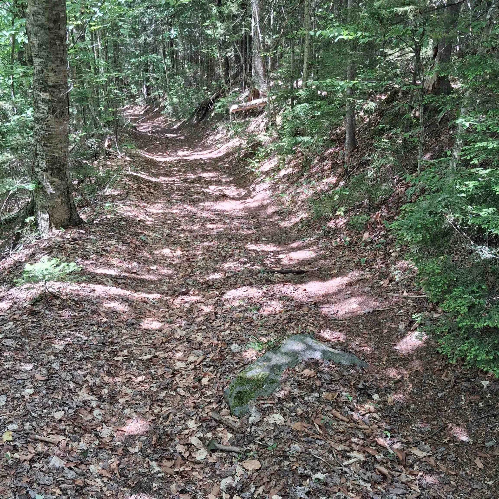 Lot 15 +37 Acre Spruce Lane Eden VT 05652