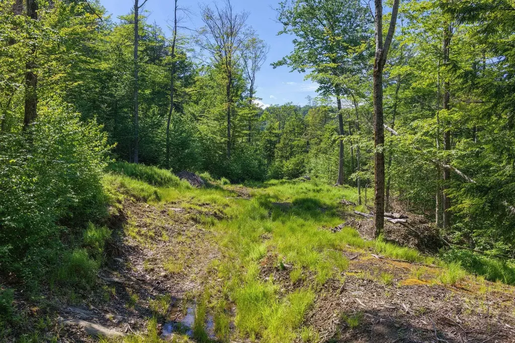 381 Whitaker Farm Road Marlboro VT 05344
