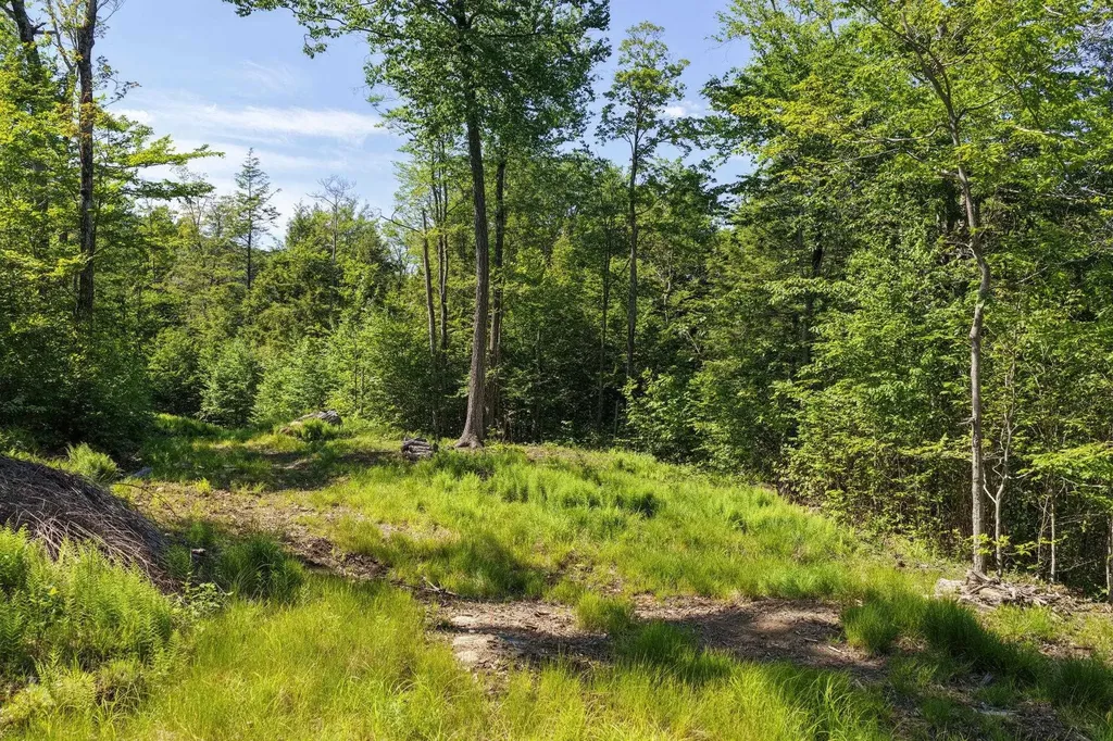 381 Whitaker Farm Road Marlboro VT 05344