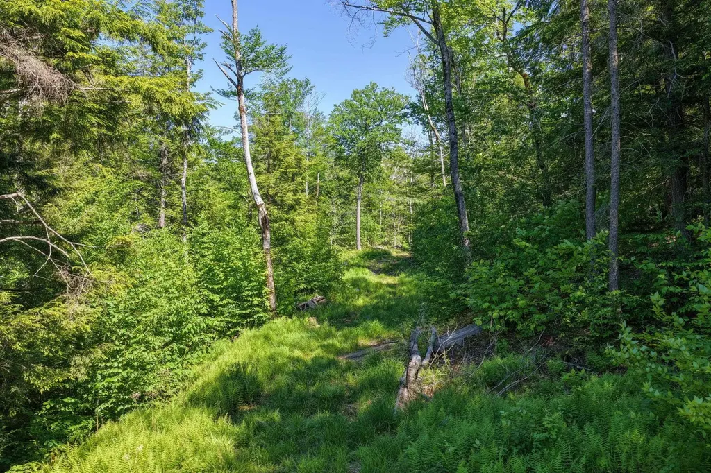 381 Whitaker Farm Road Marlboro VT 05344