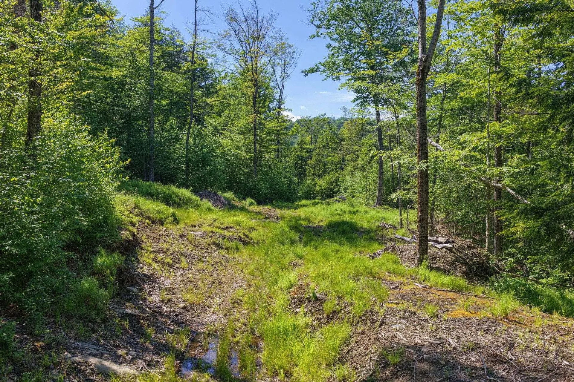 381 Whitaker Farm Road Marlboro VT 05344