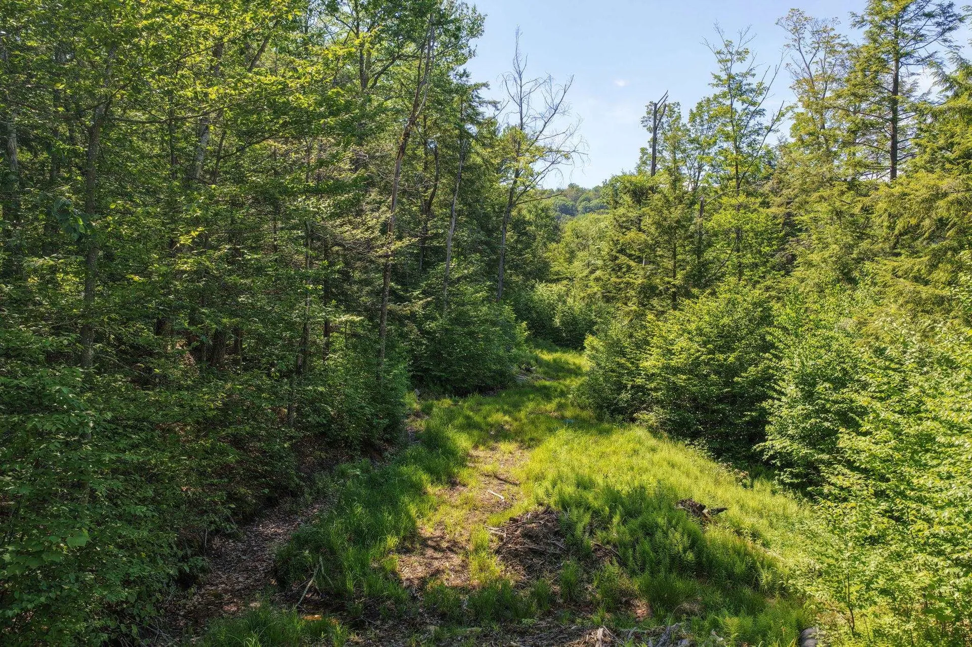 381 Whitaker Farm Road Marlboro VT 05344