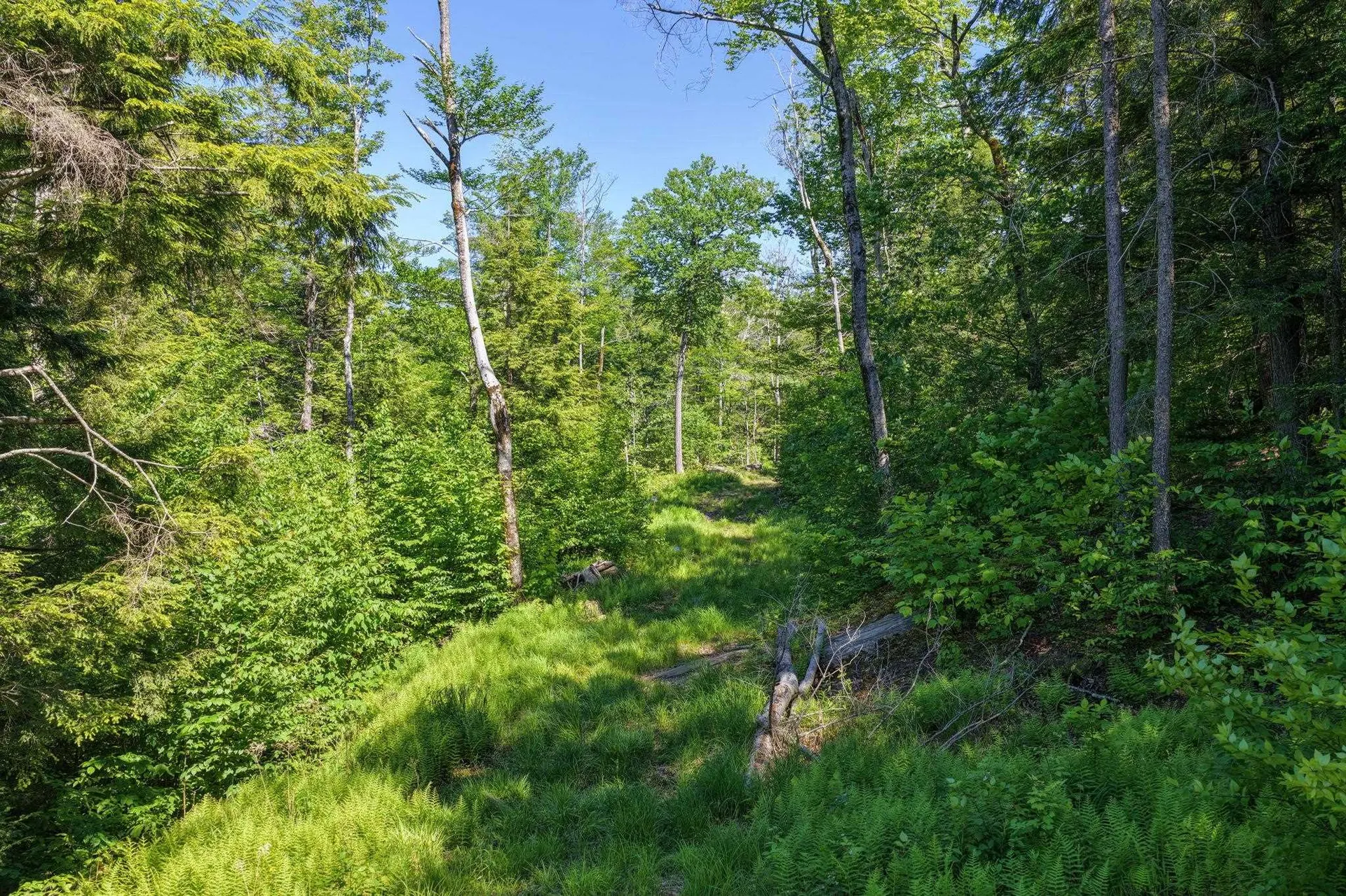 381 Whitaker Farm Road Marlboro VT 05344