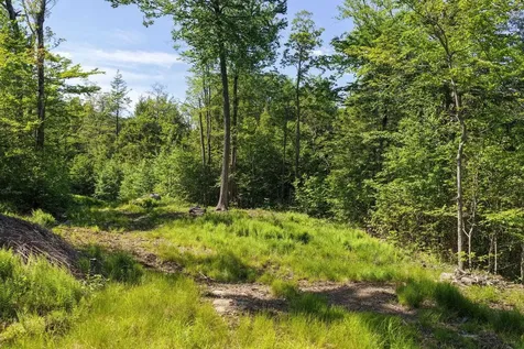381 Whitaker Farm Road Marlboro VT 05344