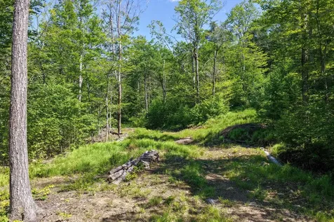381 Whitaker Farm Road Marlboro VT 05344