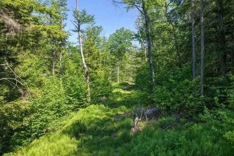 381 Whitaker Farm Road Marlboro VT 05344