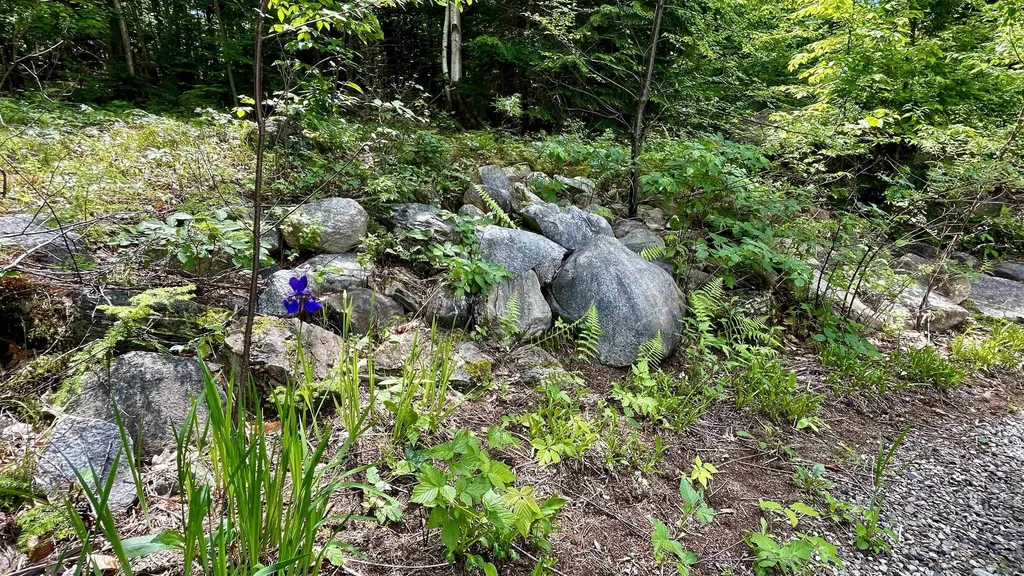 Lots 12 & 12-1 Lovell Lake Road Wakefield NH 03872