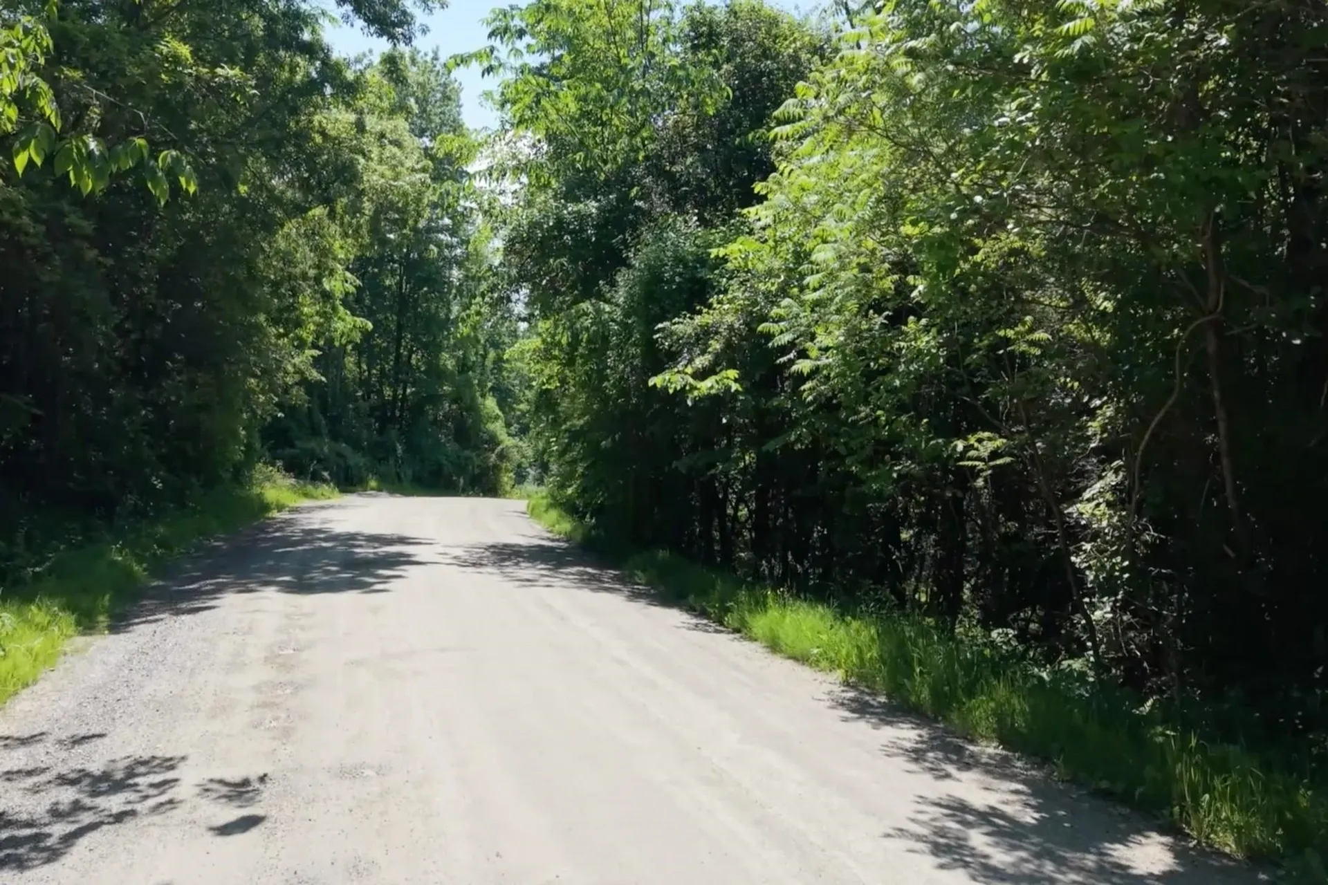 1179 Nxt Butternut Road Williston VT 05495