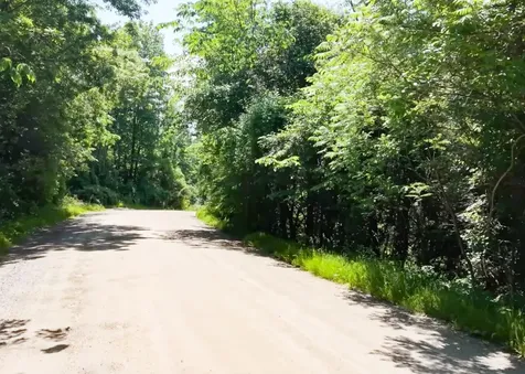 1179 Nxt Butternut Road Williston VT 05495