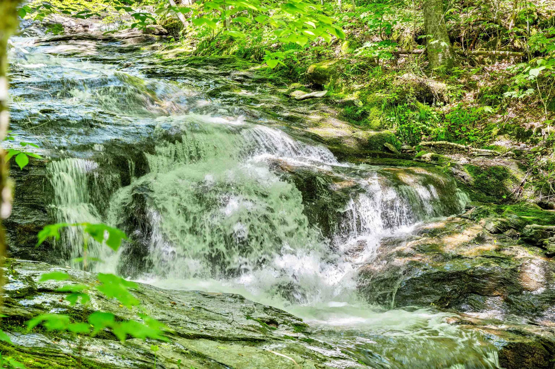 1670 Crooks Road Eden VT 05652-9623