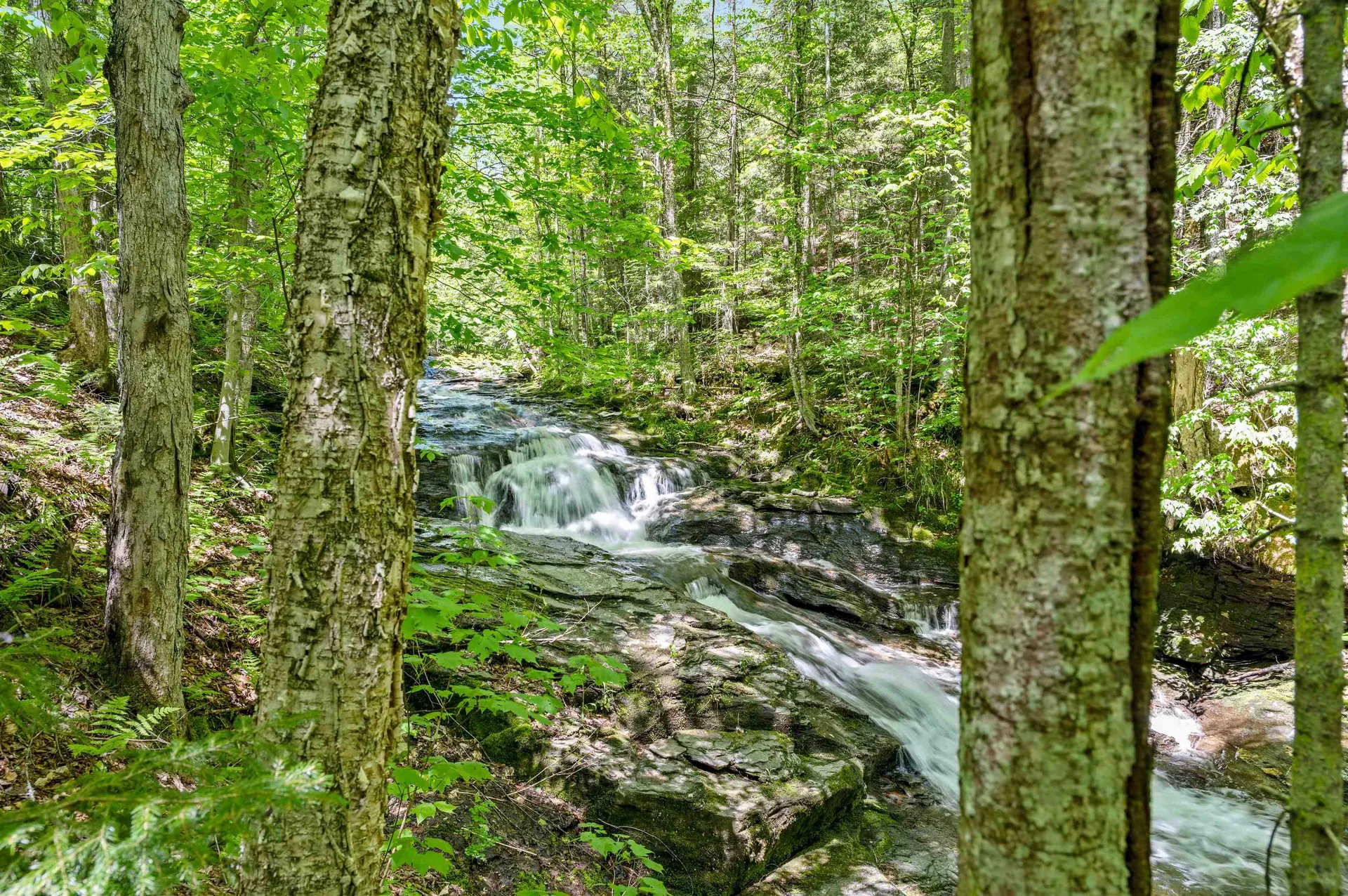 1670 Crooks Road Eden VT 05652-9623