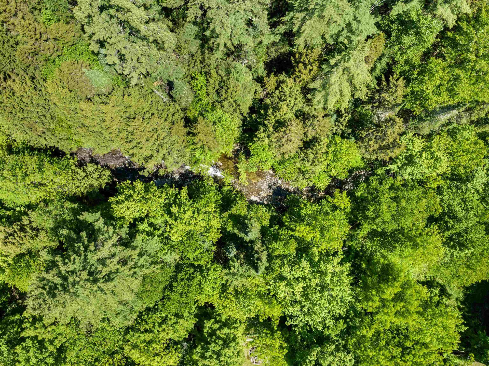 1670 Crooks Road Eden VT 05652-9623