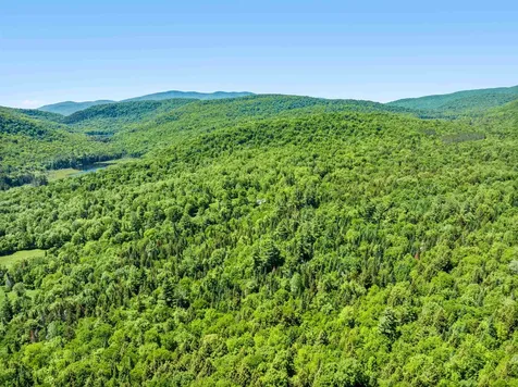 1670 Crooks Road Eden VT 05652-9623