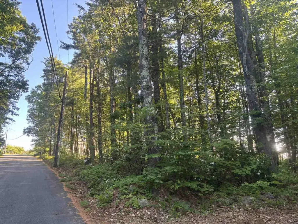 Lot B-70-3 Pead Hill Road Wilton NH 03086