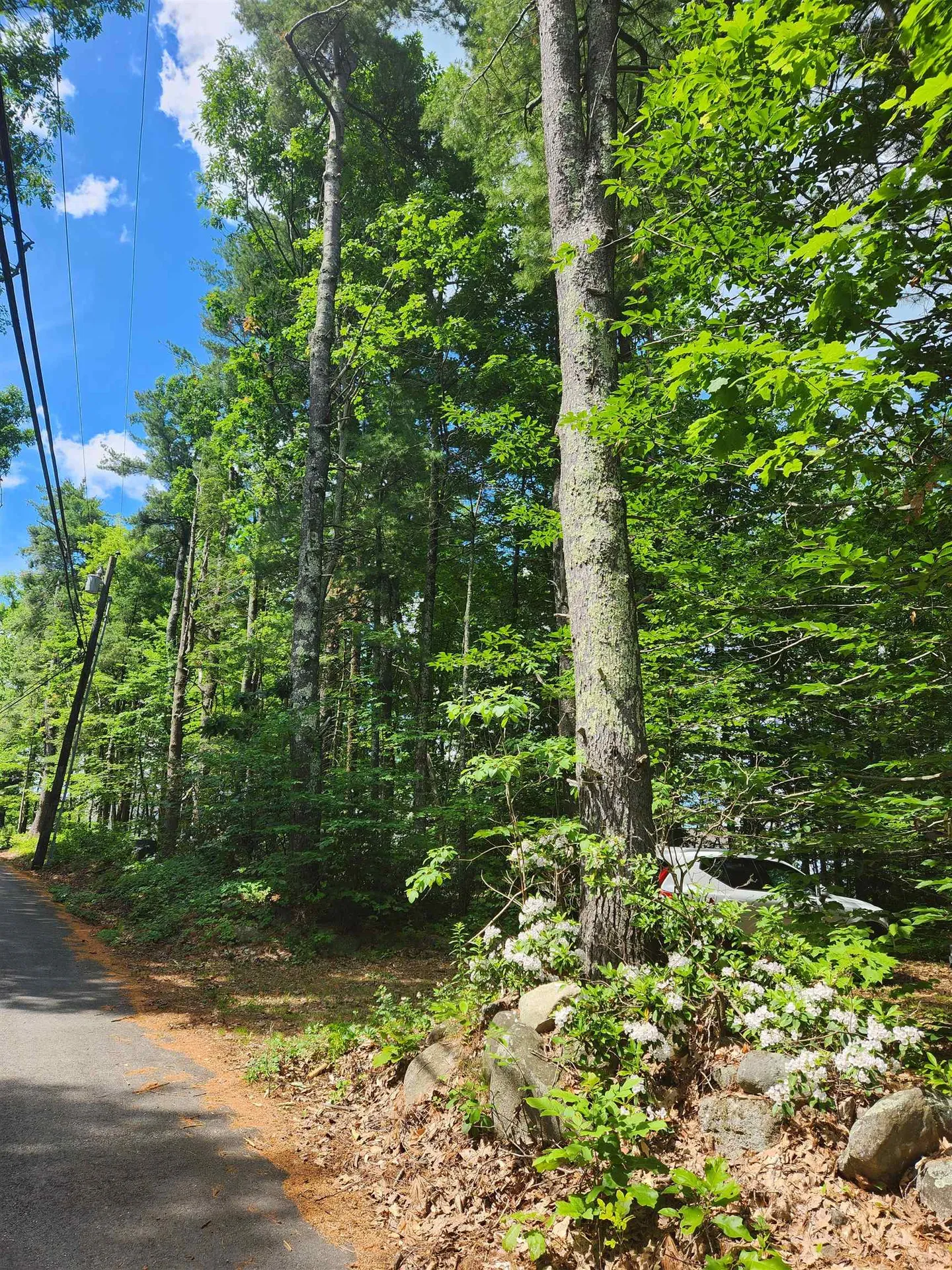 Lot B-70-3 Pead Hill Road Wilton NH 03086