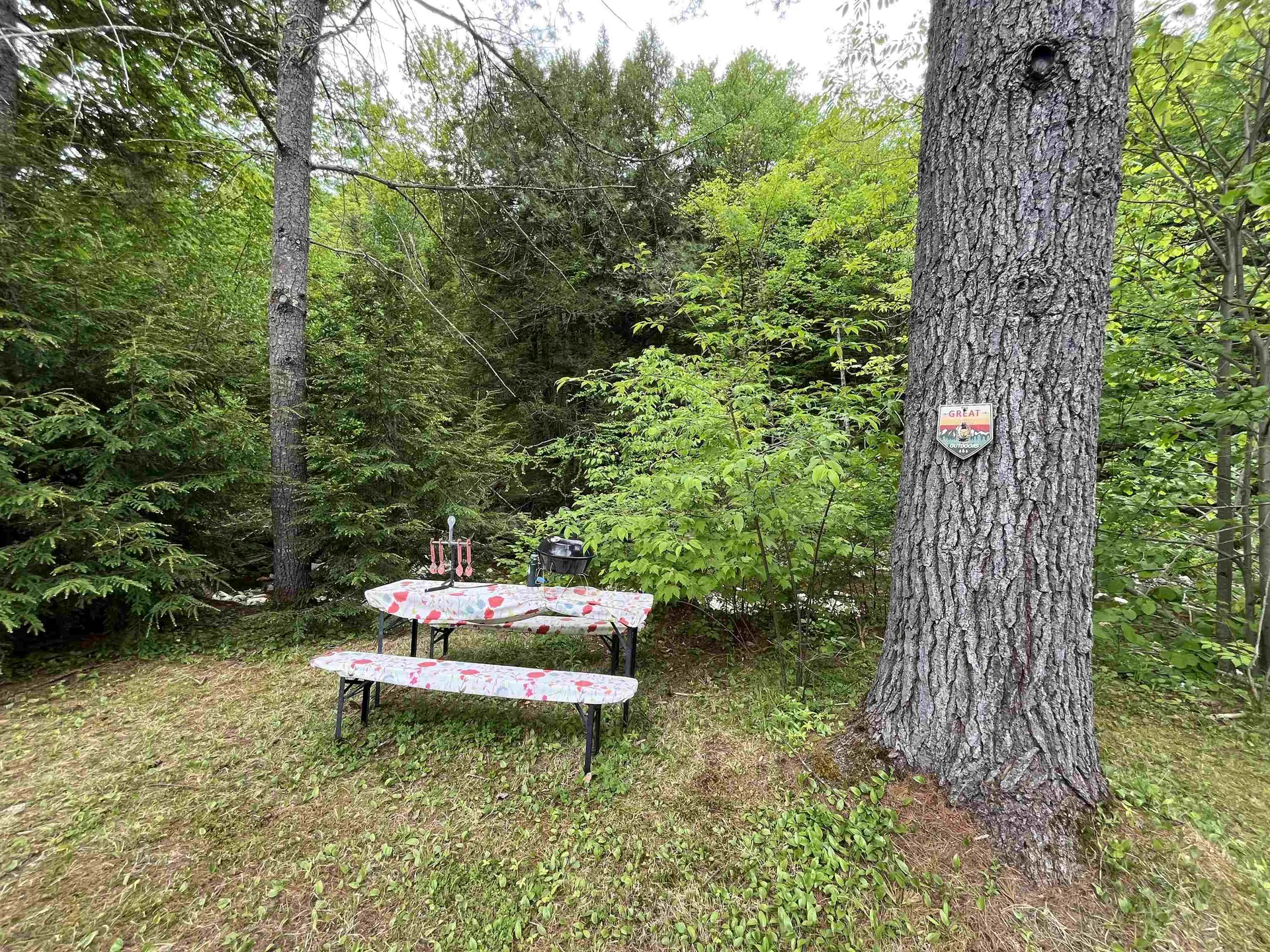 4027 Route 100 Highway Wardsboro VT 05360