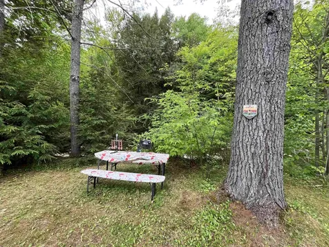 4027 Route 100 Highway Wardsboro VT 05360