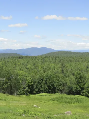 95 Bush Road Eaton NH 03849