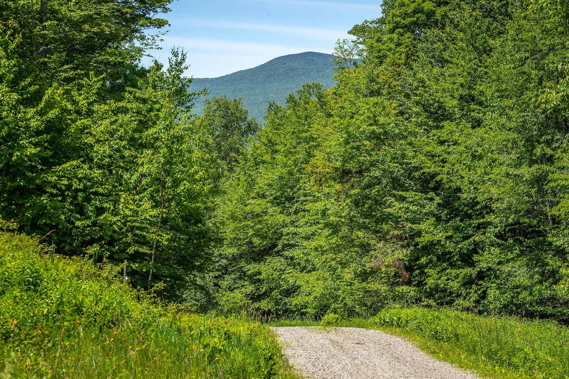 691 Black Bear Road Jamaica VT 05343