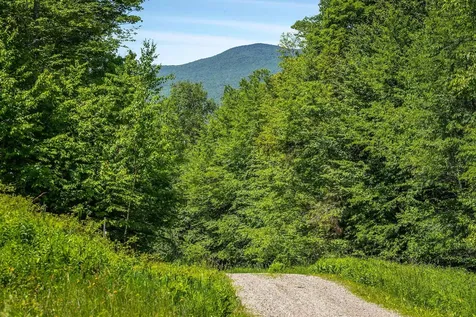 691 Black Bear Road Jamaica VT 05343