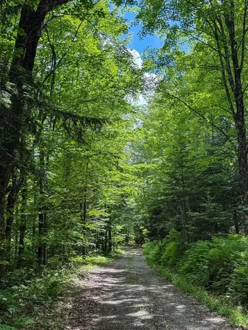273 Guyette Road Lowell VT 05847