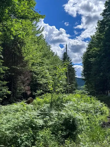 273 Guyette Road Lowell VT 05847