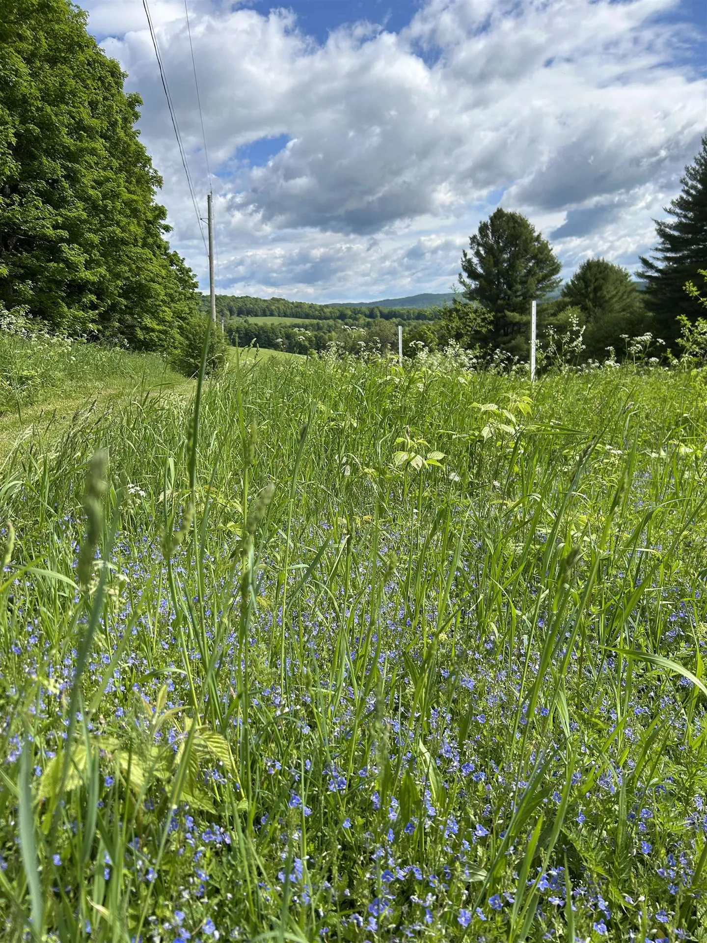 847 Morgan Mile Road Brookfield VT 05036