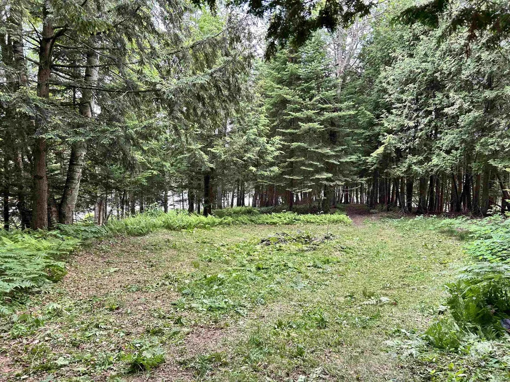 1667 E Albany Road Barton VT 05822