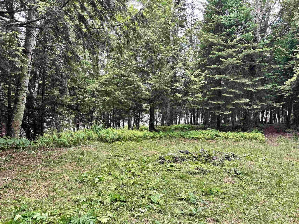 1667 E Albany Road Barton VT 05822