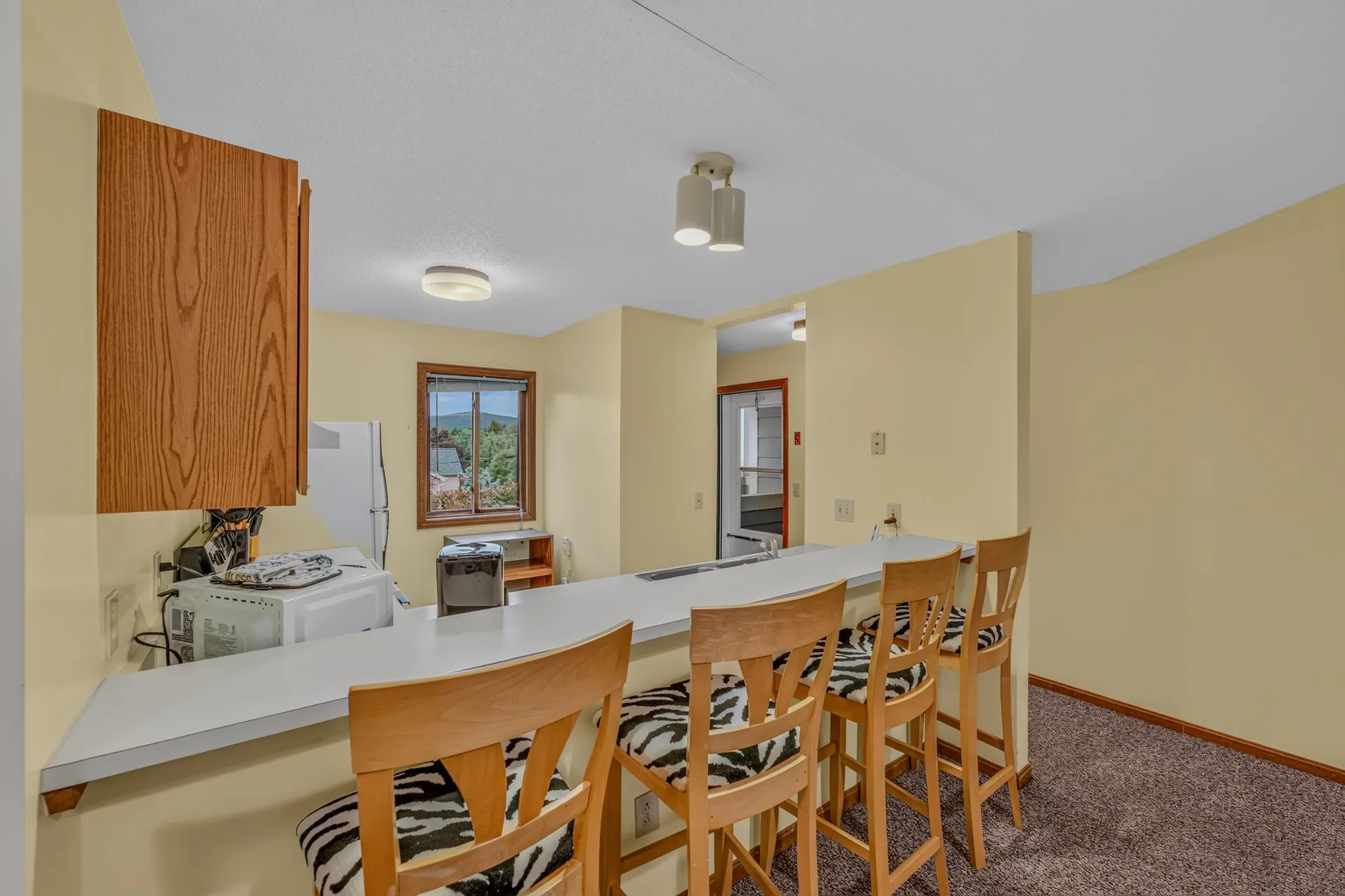 10 Stickney Way Carroll NH 03575
