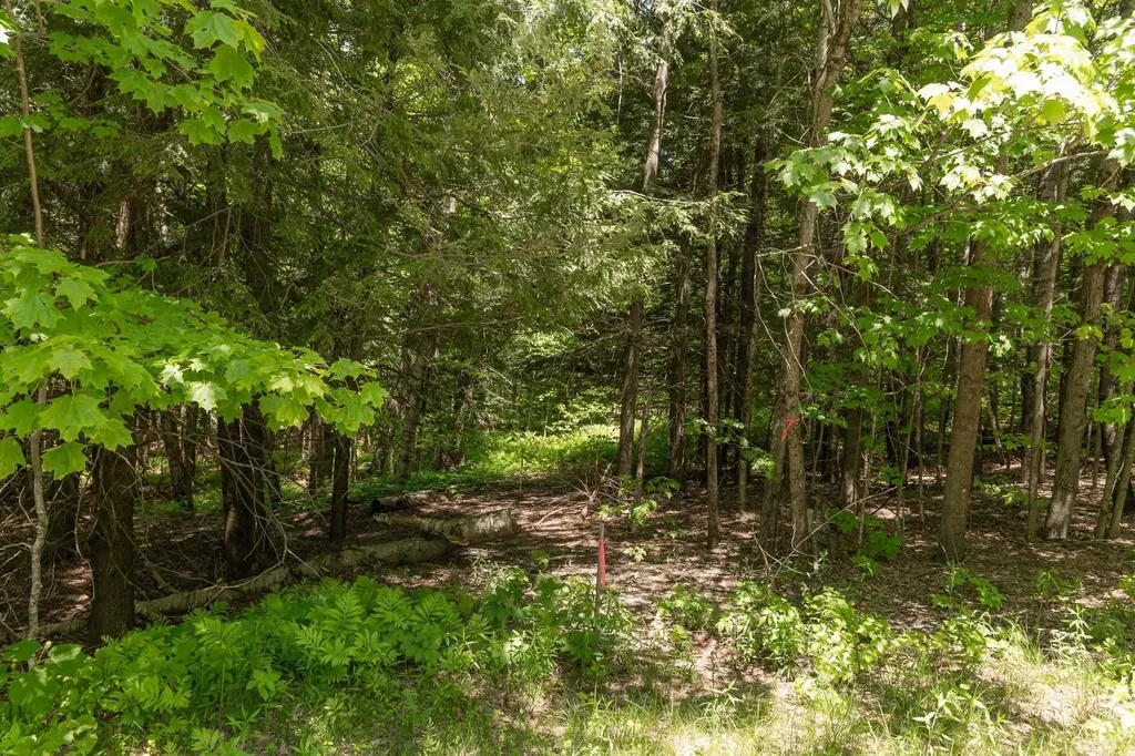 1243 North Hollow Road Stowe VT 05672