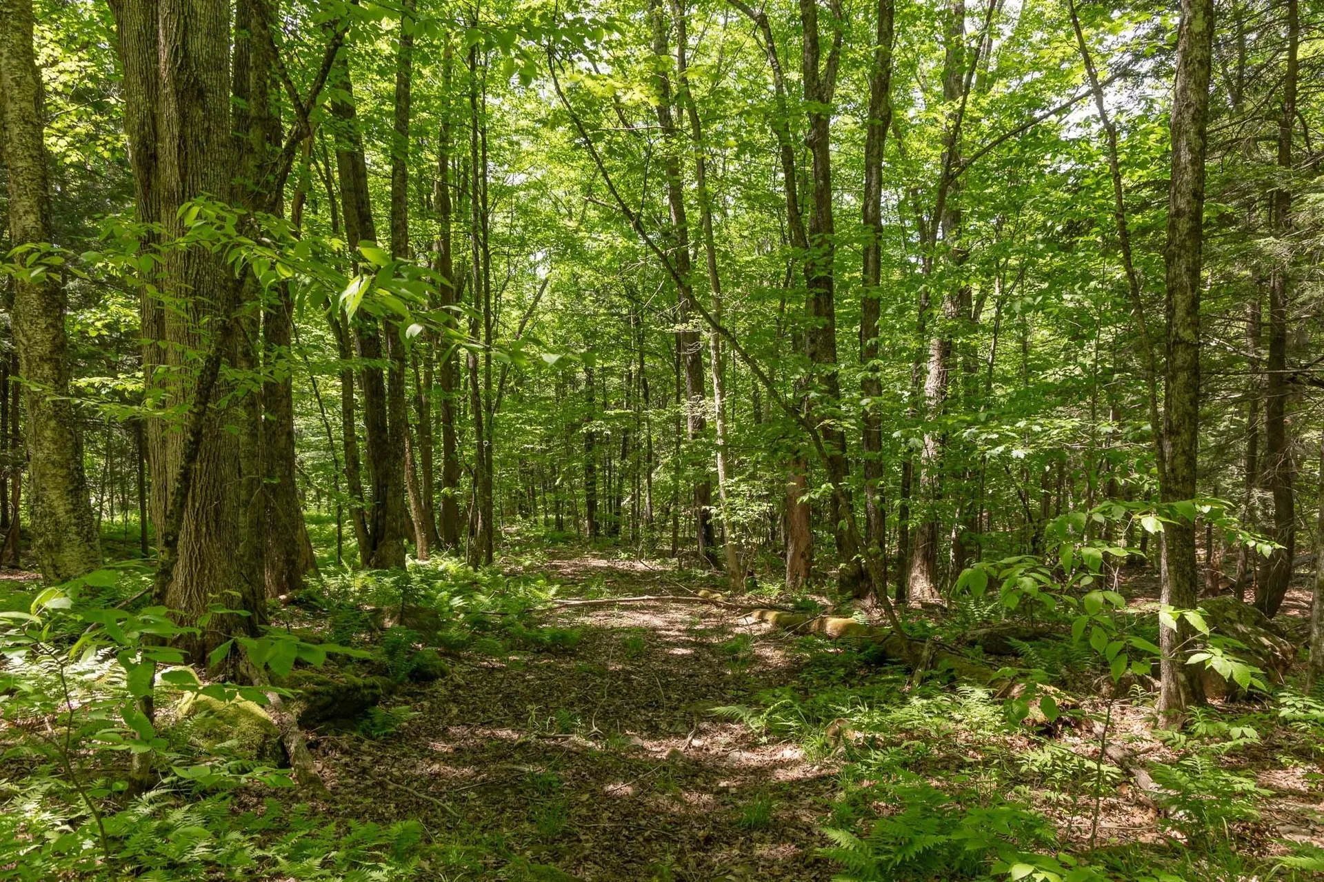 1243 North Hollow Road Stowe VT 05672