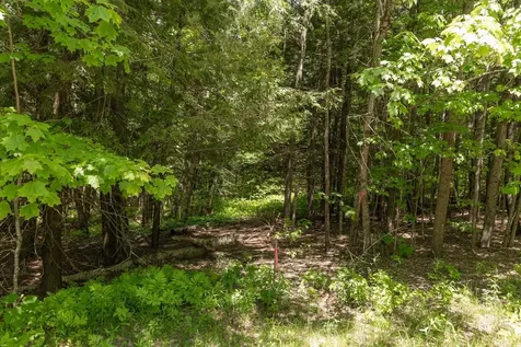 1243 North Hollow Road Stowe VT 05672