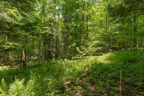 1243 North Hollow Road Stowe VT 05672