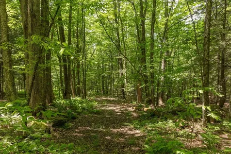 1243 North Hollow Road Stowe VT 05672