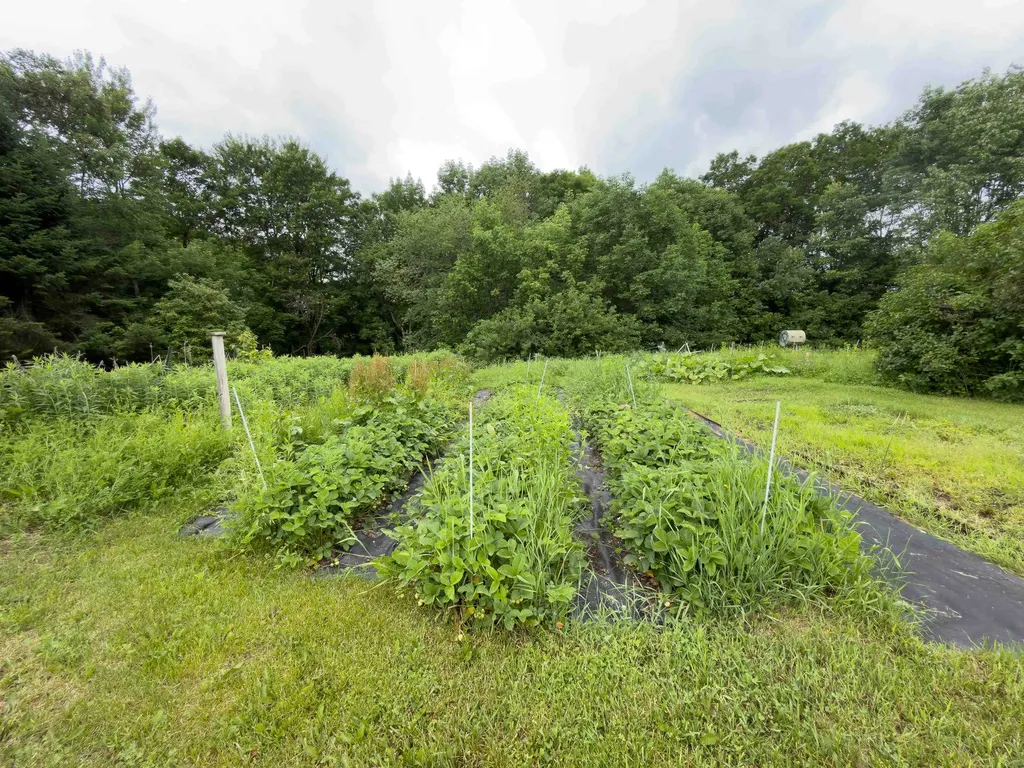 4194 Route 18 Waterford VT 05819