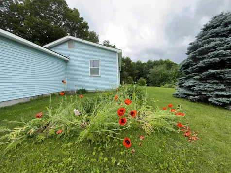 4194 Route 18 Waterford VT 05819