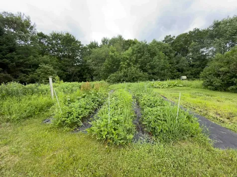 4194 Route 18 Waterford VT 05819