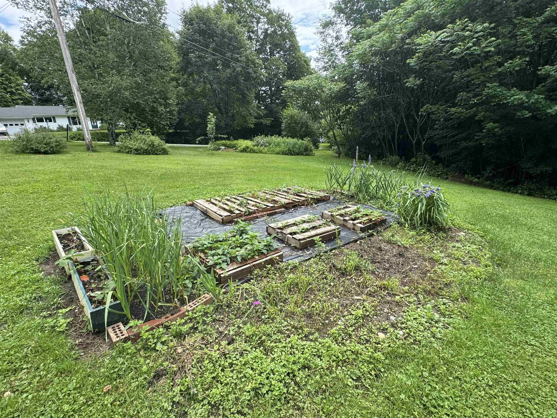 233 N Hill Road Westfield VT 05874