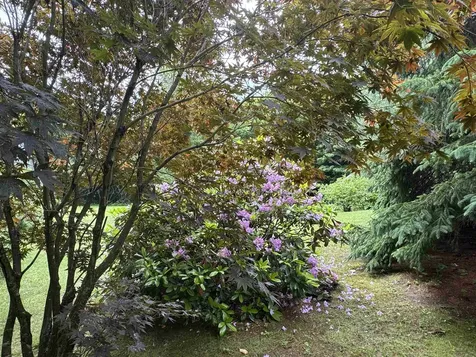 233 N Hill Road Westfield VT 05874