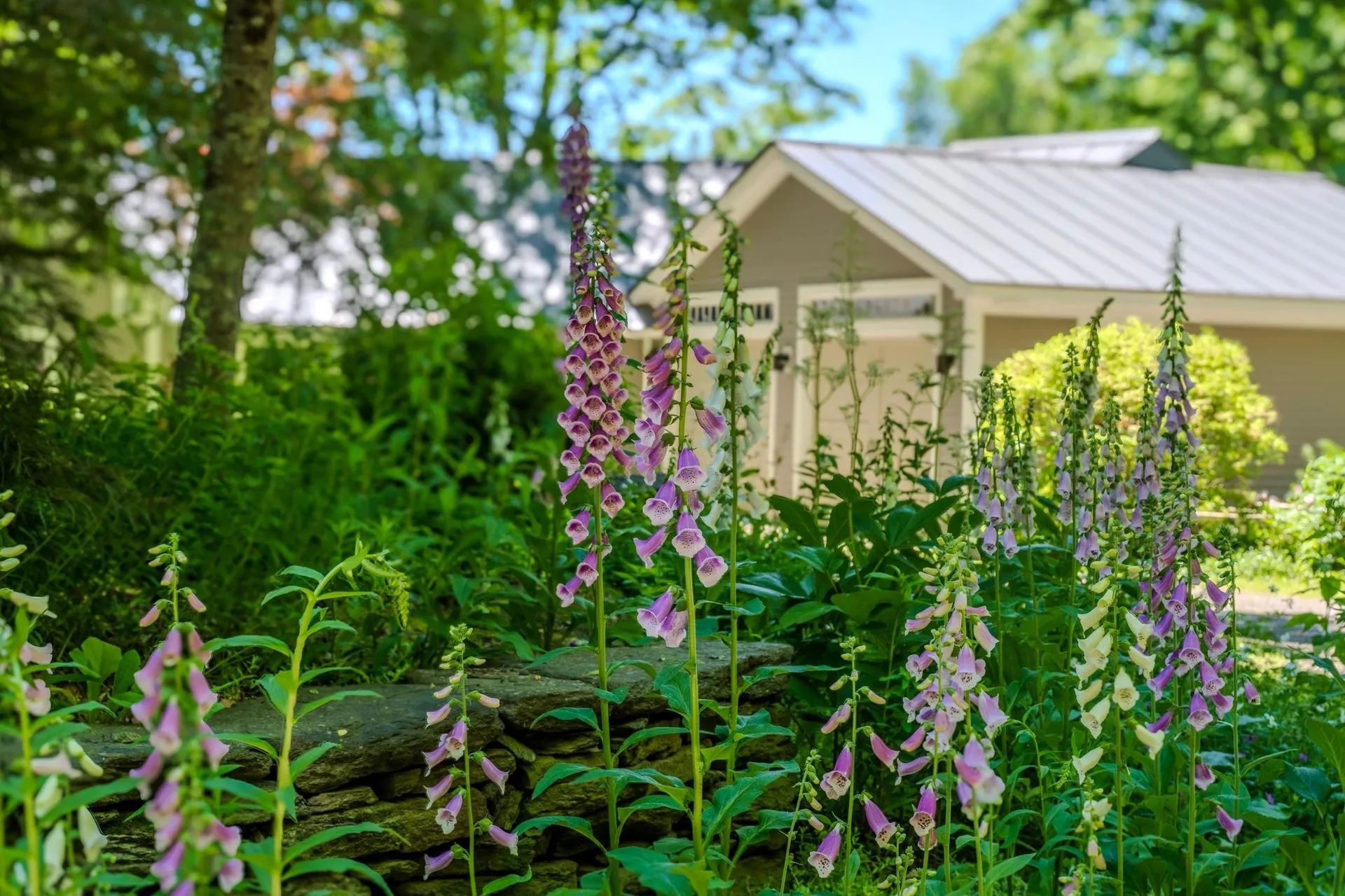 947 Miller Road Dummerston VT 05301