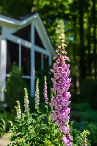 947 Miller Road Dummerston VT 05301