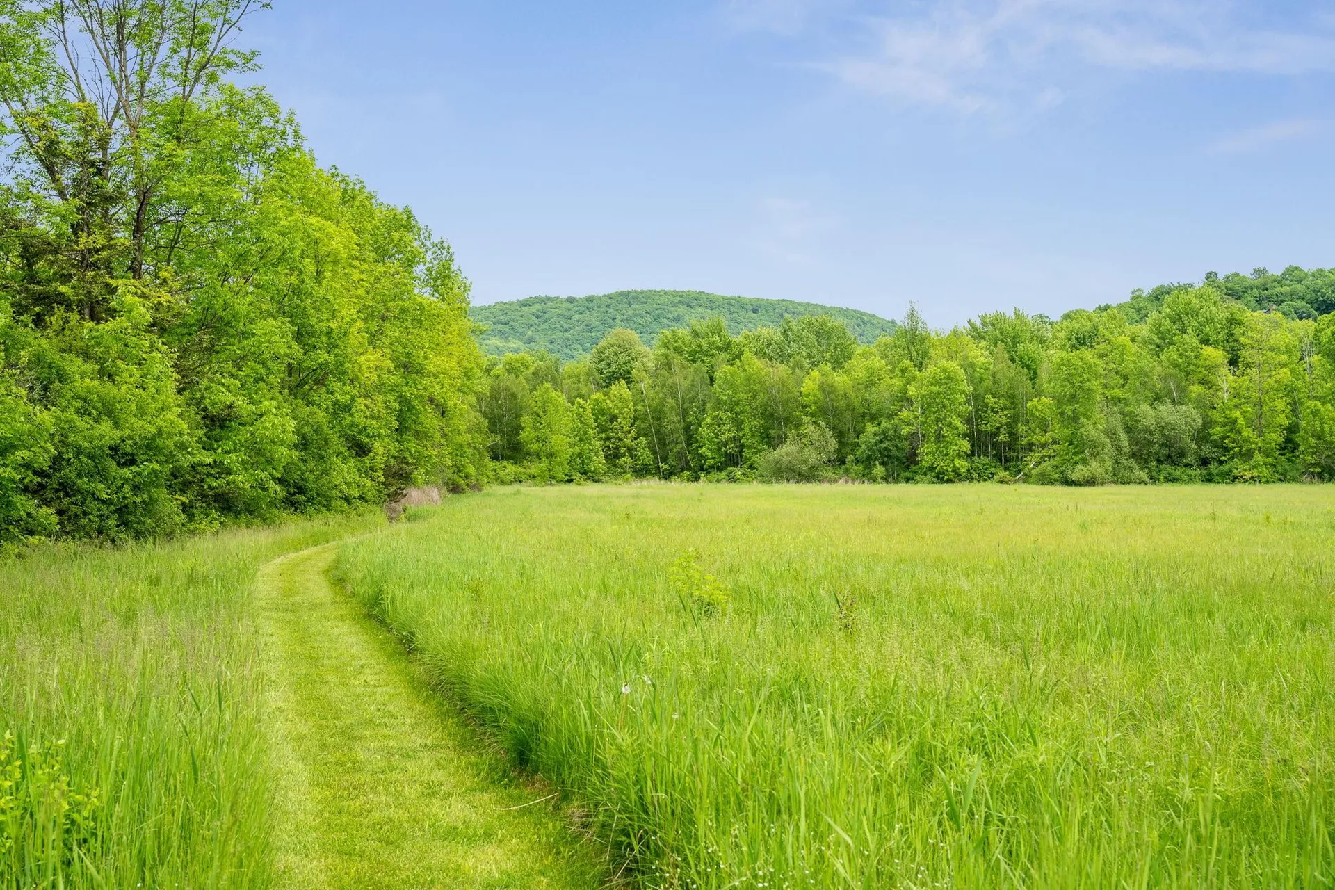 3421 Lake Road Charlotte VT 05445